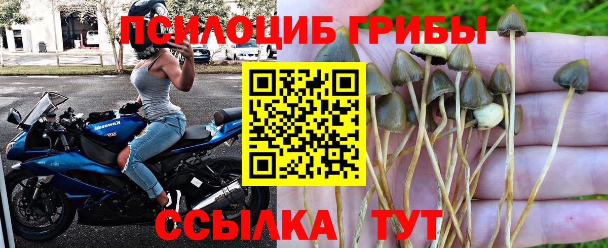 Псилоцибиновые грибы Magic Shrooms Пугачёв