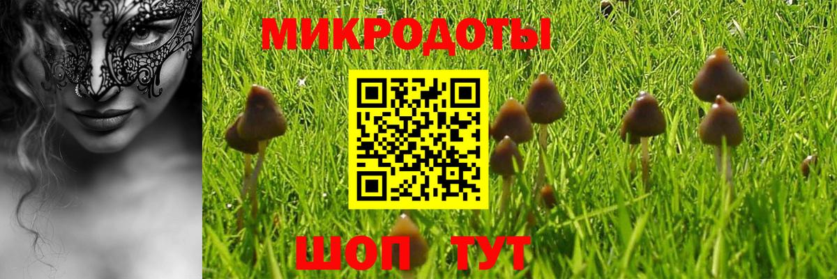 Галлюциногенные грибы Cubensis  Вход с VPN  Пугачёв 
